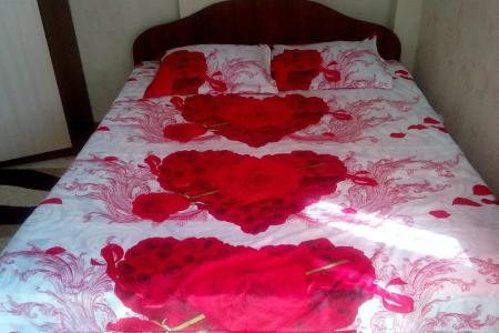 Трехкомнатная квартира возле Тюменского рынка, ТЦ Кристалла