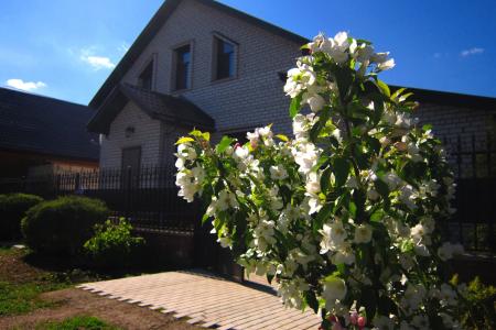 Современный дом со всеми удобствами