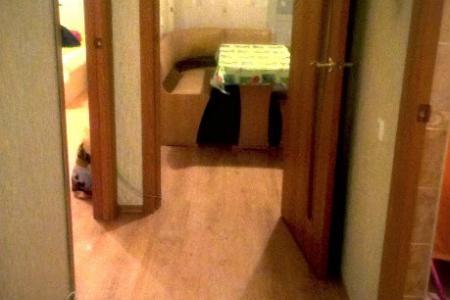 Сдам однокомнатную квартиру в НОВОМ доме рядом с магазином "Европа"