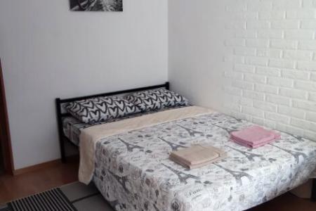 Двухкомнатная квартира возле парка Ленина