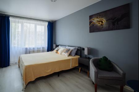 Однокомнатная квартира в Пскове