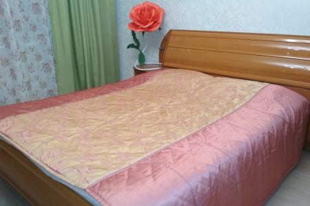 Однокомнатная квартира рядом с ЖД вокзалом