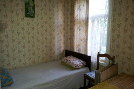 Деревенский домик в самом центре