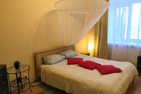 Апартаменты с видом на Сосновку