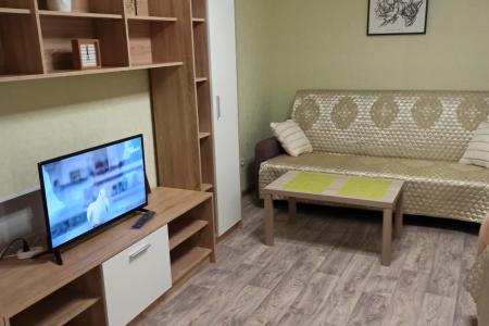 Двухкомнатная квартира на Суркова