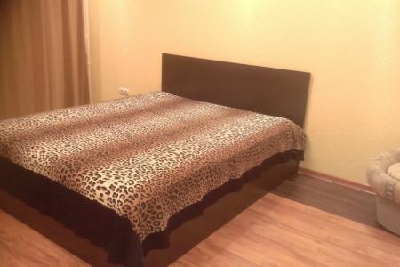 Однокомнатная квартира возле гипермаркета Окей