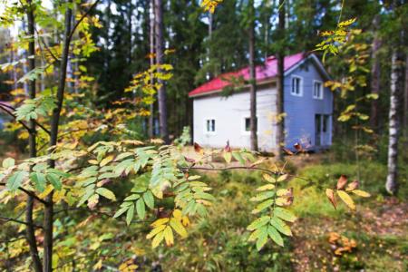 Коркинское Озеро "Семейный"