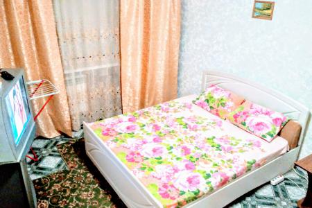 Однокомнатная квартира в центре для троих