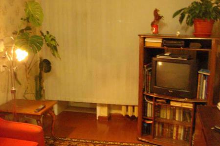 1-комнатная квартира посуточно