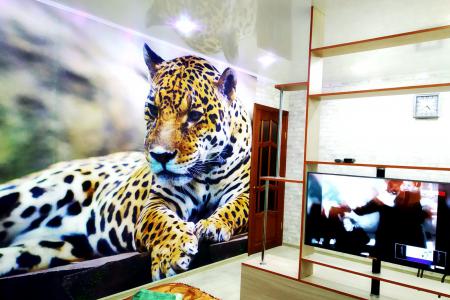 теплая чистая квартира у мед. центра