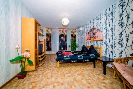 Однокомнатная квартира в центре города, район ТРК Триумф