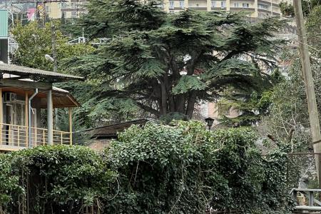 Стильная студия в Ялте