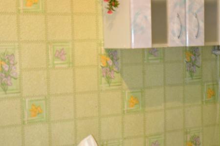 1 мая дом 6/Профинтерна (Площадь Октября, Шпиль)