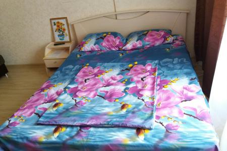 Квартира на Союзной