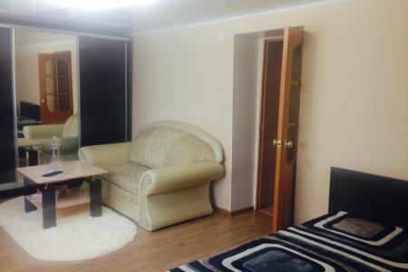 Однокомнатная квартира в 100м от входа в парк