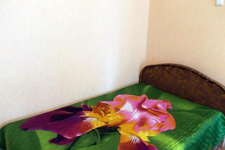 2-комнатная эконом в центре Воронежа, в районе площади Заставы