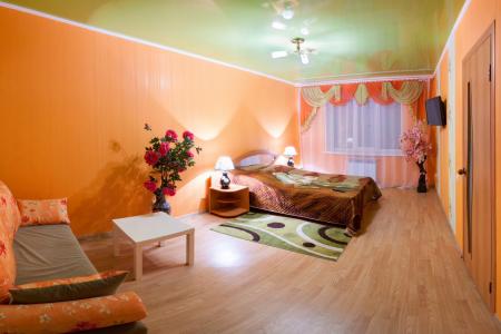 1-комнатная квартира в историческом центре города напротив зоопарка!