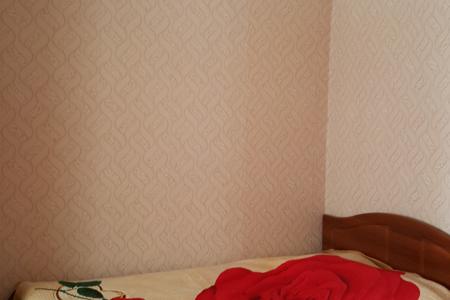 Уютная квартира возле Телецентра недалеко от Горного Воздуха