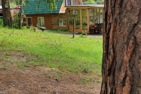 Сдам загородный дом и баню в лесу на сутки и более