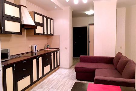 1-комнатная квартира, хороший вид из окна