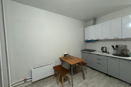 Уютная студия в Лопатино