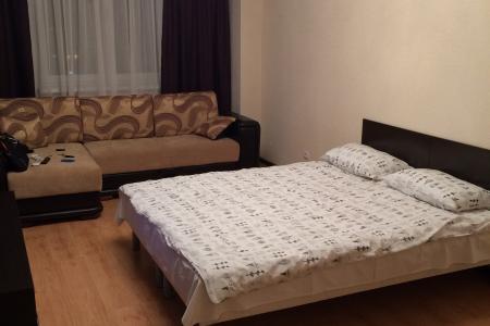 Однокомнатная в центре