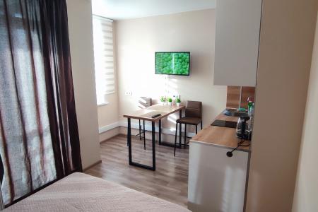 Уютная студия в ЖК " Маасдам "