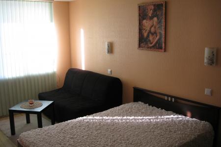 Однокомнатная квартира в Центре города