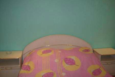 1-комнатная квартира посуточно