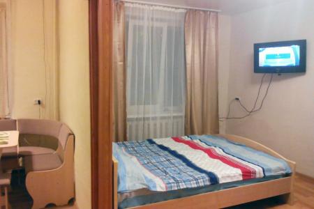 1-комнатная квартира рядом с ТК на Свободном (10 мин. от центра)