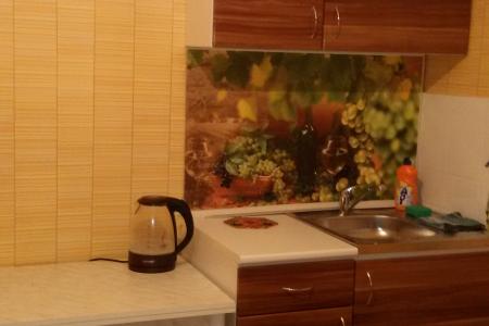 КВАРТИРА В НОВОМ ДОМЕ. СПАЛЬНЫЙ РАЙОН. остановка СТАРЫЙ МУЗЕЙ.