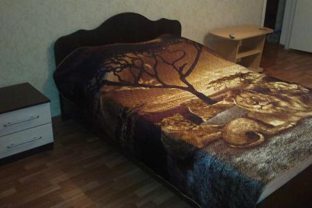 Однушка в центре