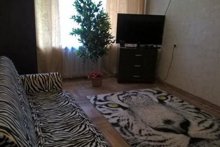 Однокомнатная квартира в центре на Островского