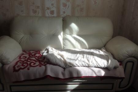 1 комнатная квартира центр