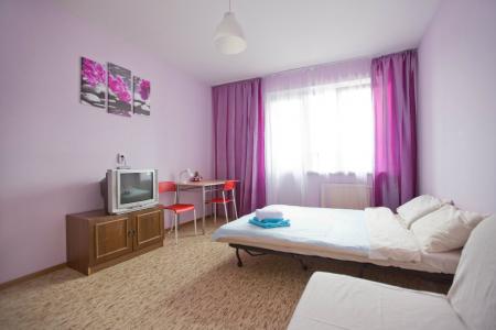 Уютная квартира у метро Комендантский проспект