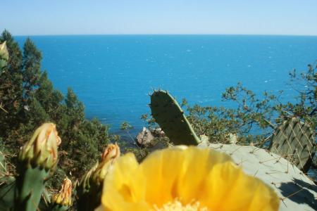 Сдаётся отдельно стоящий домик в Кастрополе над морем!До 6 чел.