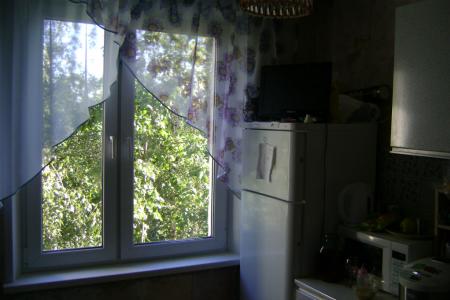 однокомнатная квартира на сосновой аллее