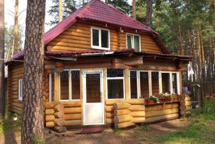 Сосновый бор №2