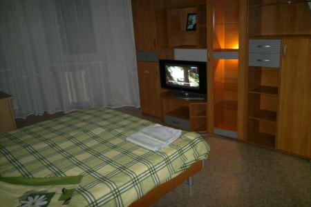 Уютная однокомнатная квартира со всеми удобствами