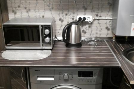 Двухкомнатная квартира в Пушктне рядом с институтом Турнера