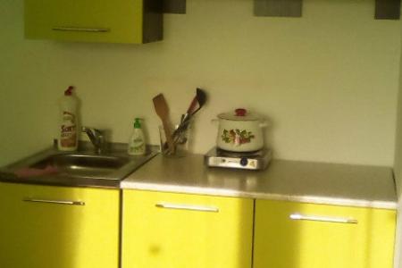 1-комнатная квартира Сахьяновой 23В