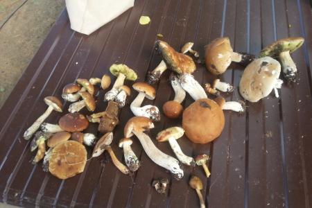 Гостевой дом в Угличе