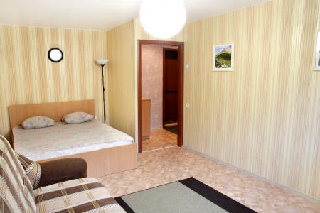 Однокомнатная Квартира Рядом с ТЦ Гостинный Двор