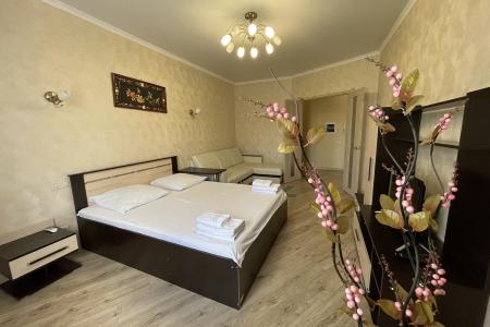 однокомнатные апартаменты в центре