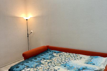 Однокомнатная квартира на проспекте