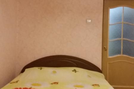 Двухкомнатная квартира в центре города