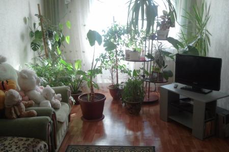 Однакомнатная квартира в центре города, рядом парк Поеды, много торговых центров, скверов