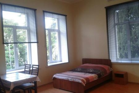 Большая студия в центре