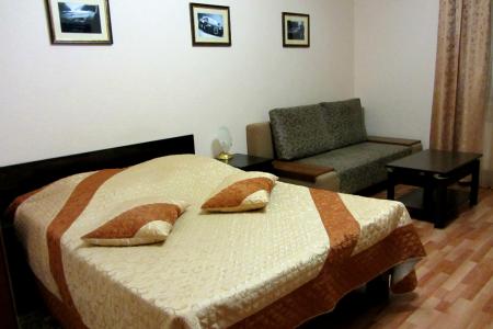 Однокомнатная квартира с видом на город