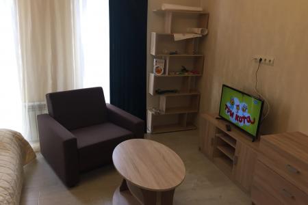 1-комнатнаяя квартира у моря в Адлере. Новый евроремонт